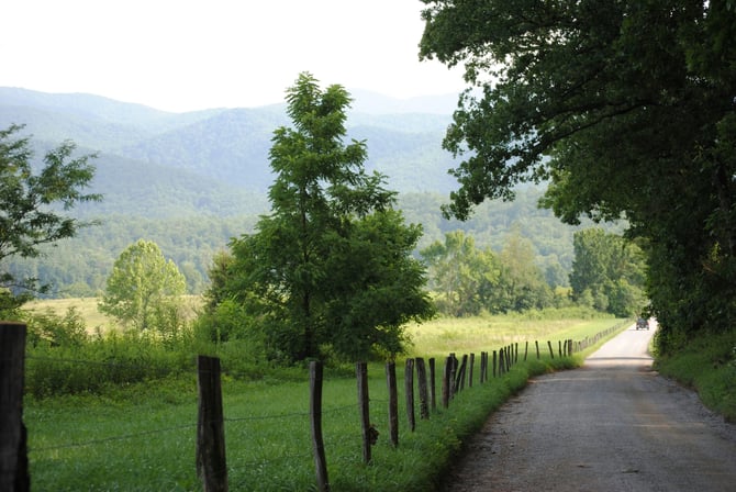 20 Best Things to Do in Pigeon Forge, TN in 2026